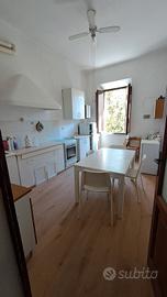due camere in centro per studentesse