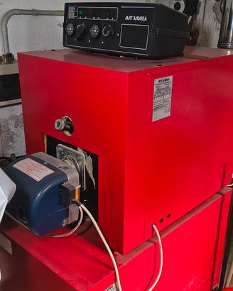 Caldaia Gasolio/Gas
