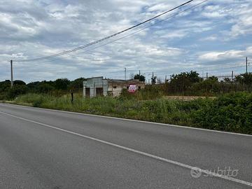Terreno Residenziale San Severo