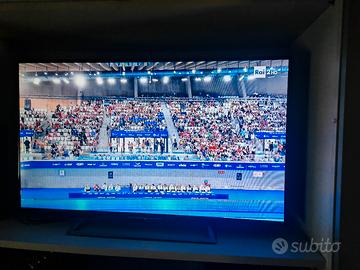 TV Sony Bravia 48"