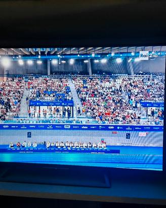 TV Sony Bravia 48"
