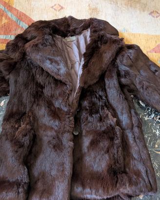 pelliccia in castoro