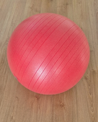 Fitball rosse