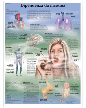 Tavole didattiche scientifiche e mediche