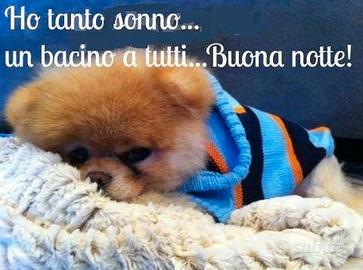 c......o Lavoro 