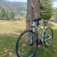 Specialized crave comp 29