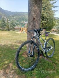 Specialized crave comp 29