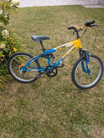 Bicicletta da bambino 