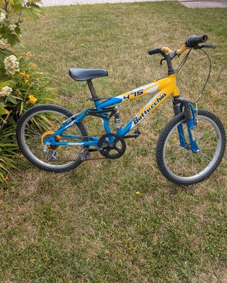 Bicicletta da bambino 