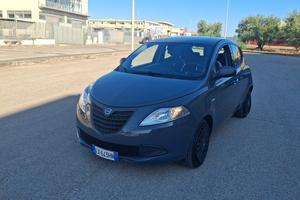 Lancia Ypsilon 1.2 69 CV 5 porte S&S Elefantino