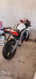 Aprilia replica Biaggi 