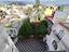 Immagine 14
