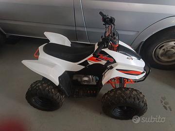 Altro Altro modello - 2022