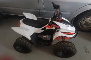 Altro Altro modello - 2022