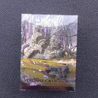 Magic Dragon Shield Verdant Catacombs 100 Sleeves 