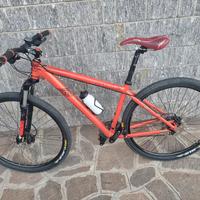   mountain-bike felt nine 