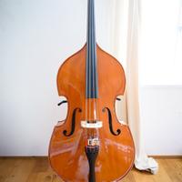 Thomann 33 3/4 Europe Double Bass / Contrabasso