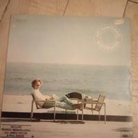 lotto vinili 33 giri lp disco album rock pop blues