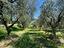 Immagine 17
