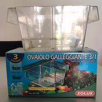 Ovaiolo - incubatrice per pesci