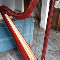 arpa Ana 41 corde