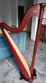 arpa Ana 41 corde