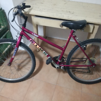 Bicicletta da ragazza Olmo Oasi