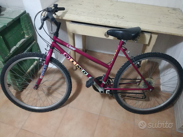 Bicicletta da donna / ragazza Olmo Oasi
