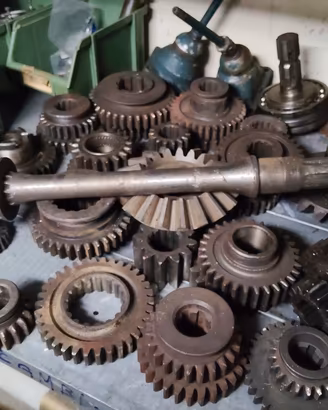 Goldoni vari ricambi 