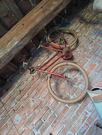 Bicicletta donna, bimbo