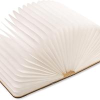 Lampada Libro LED iMun Aladino in Finitura Acero