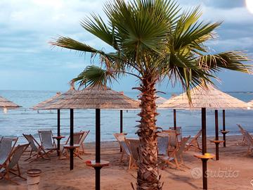 TORRE CANNE vacanze meravigliose al mare