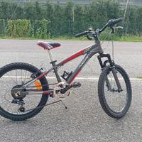 Bicicletta 20 pollici 