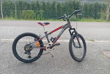 Bicicletta 20 pollici 