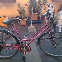 bicicletta