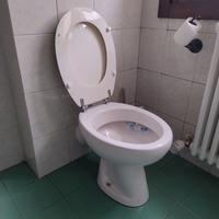 Sanitari bagno (WC + bidet)