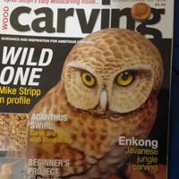 woodcarving magazine 2007