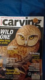 woodcarving magazine 2007