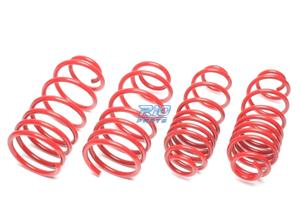 KIT MOLLE SPORTIVE PER RENAULT