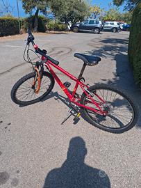 bicicletta 24