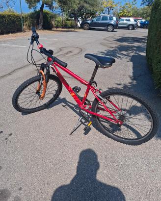 bicicletta 24