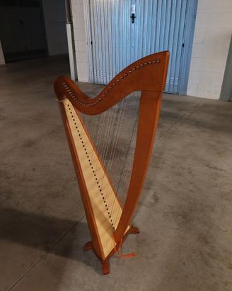 Arpa celtica