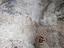 Immagine 25