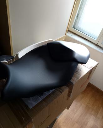 Sella Xr 2019