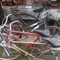 4 biciclette