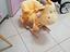 Immagine 1