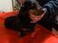 Immagine 6