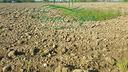 terreno-agricolo-a-casier-3-ha