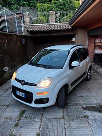 Panda Metano twinair 2013