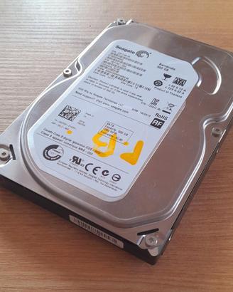 Hard disk interno 500GB